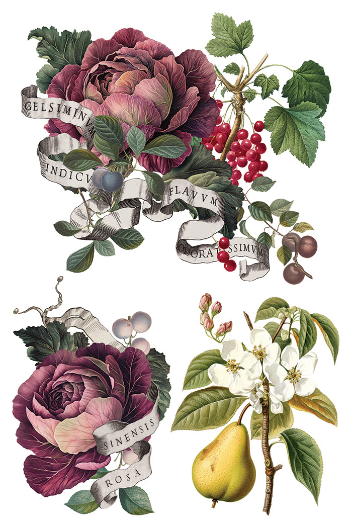Iron Orchid Designs - Clementine - Furniture Decor Transfer Pad ***Limited Edition***