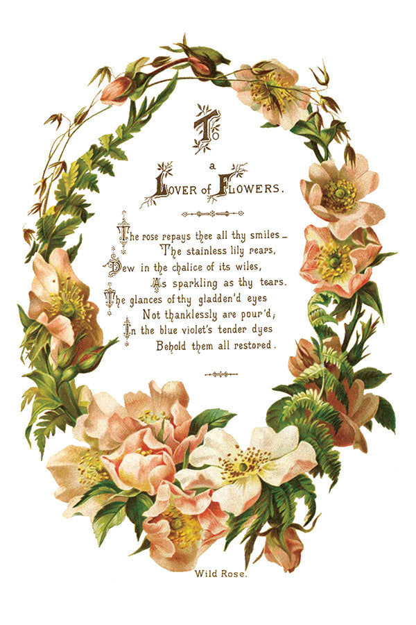 Iron Orchid Designs - Lover of Flowers - Furniture Decor Transfer Pad