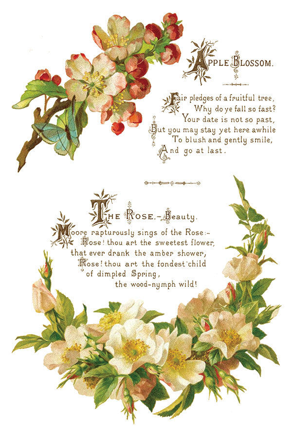 Iron Orchid Designs - Lover of Flowers - Furniture Decor Transfer Pad