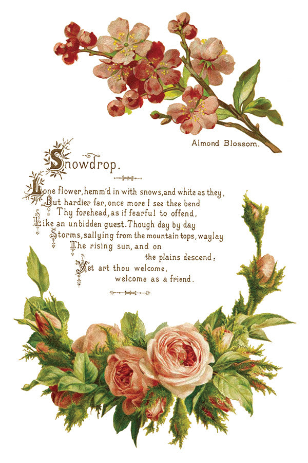 Iron Orchid Designs - Lover of Flowers - Furniture Decor Transfer Pad