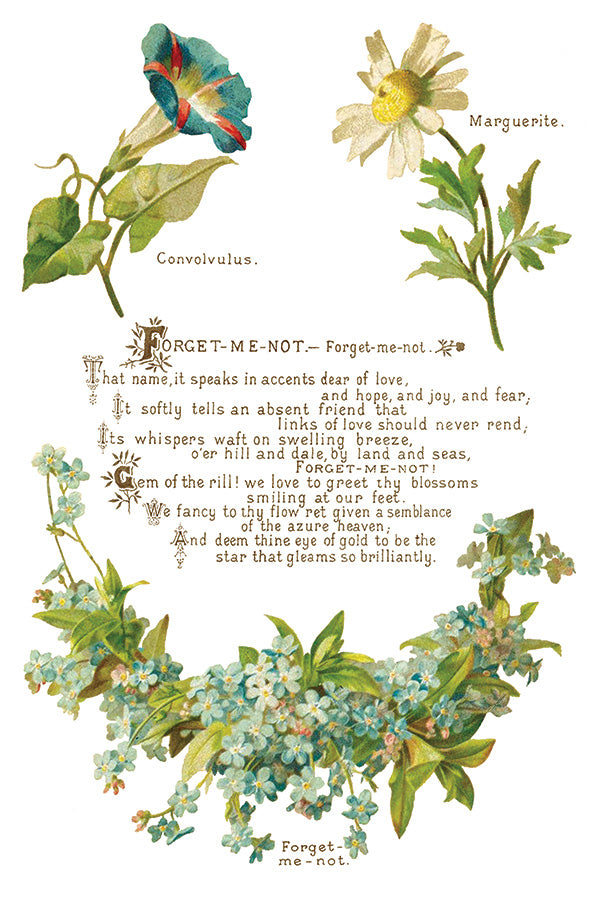 Iron Orchid Designs - Lover of Flowers - Furniture Decor Transfer Pad