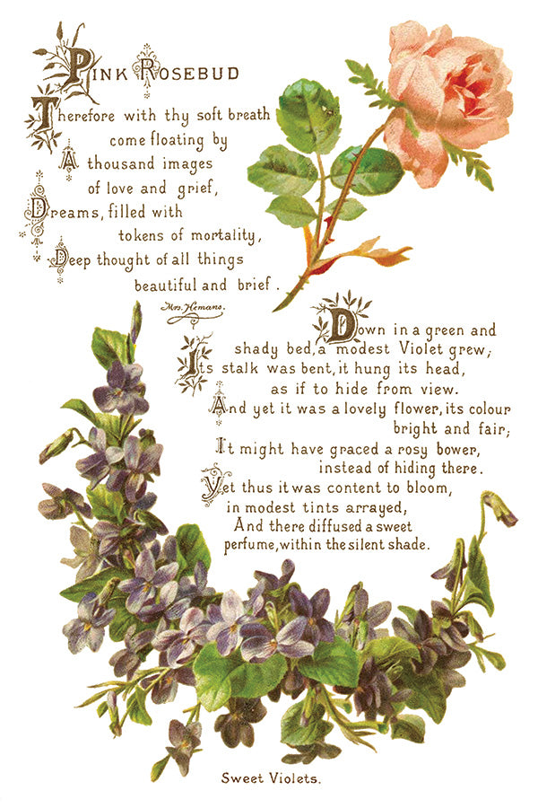 Iron Orchid Designs - Lover of Flowers - Furniture Decor Transfer Pad
