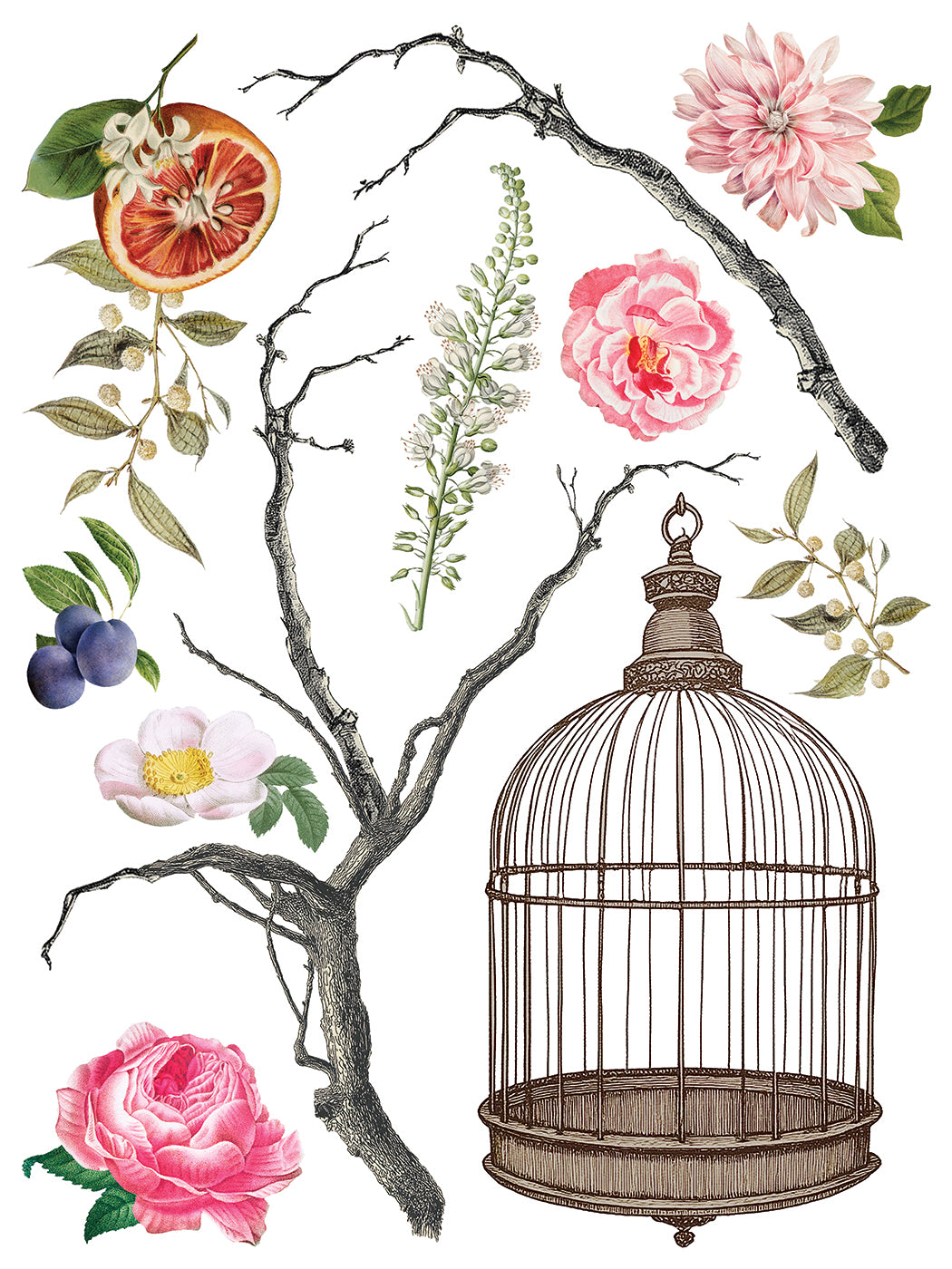Iron Orchid Designs - Menagerie - Furniture Decor Transfer Pad