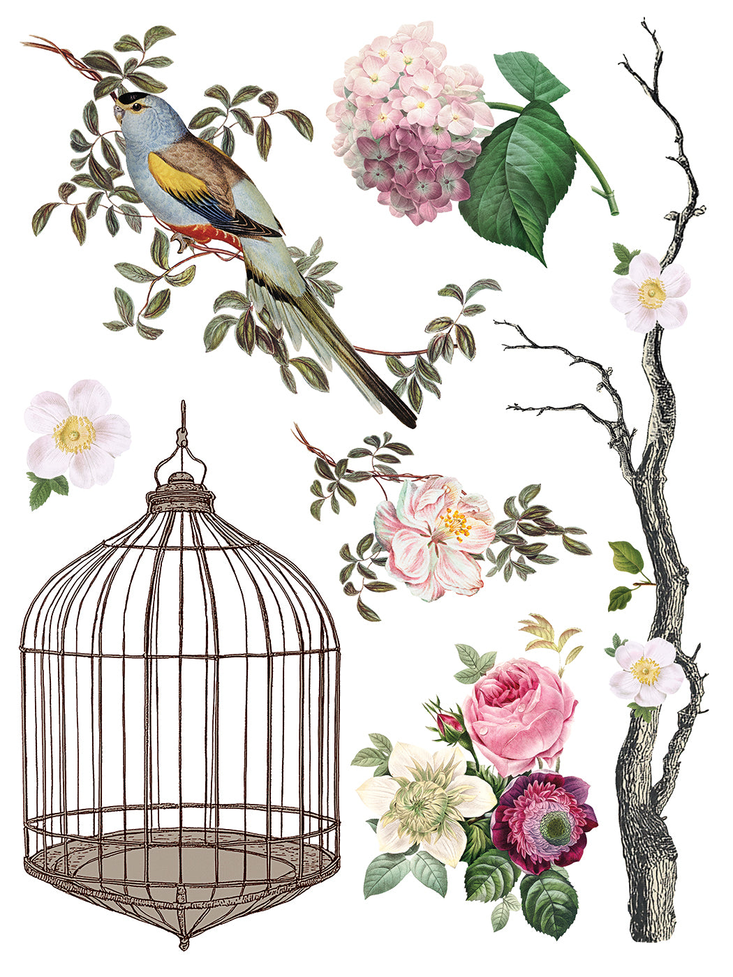 Iron Orchid Designs - Menagerie - Furniture Decor Transfer Pad