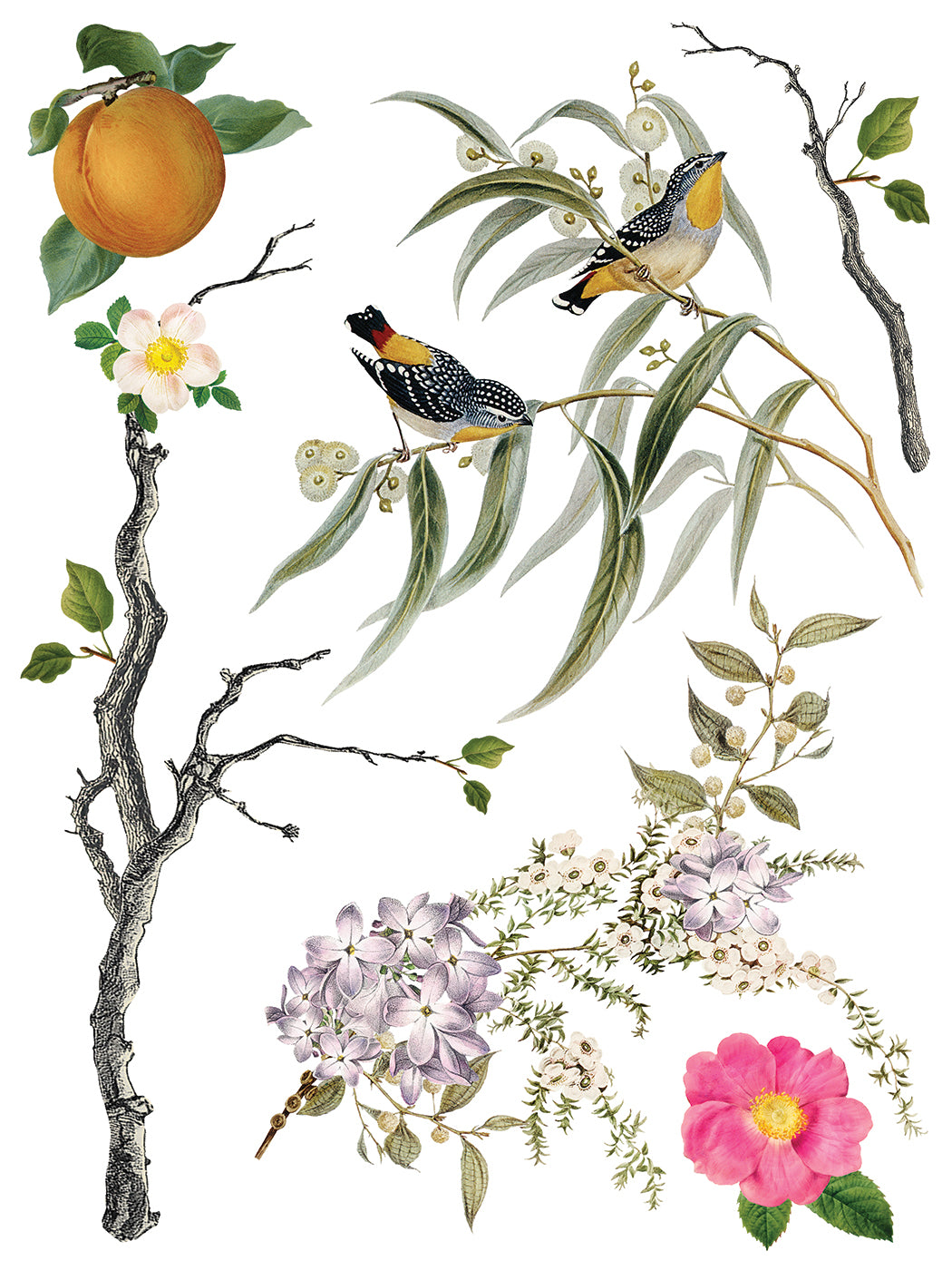 Iron Orchid Designs - Menagerie - Furniture Decor Transfer Pad