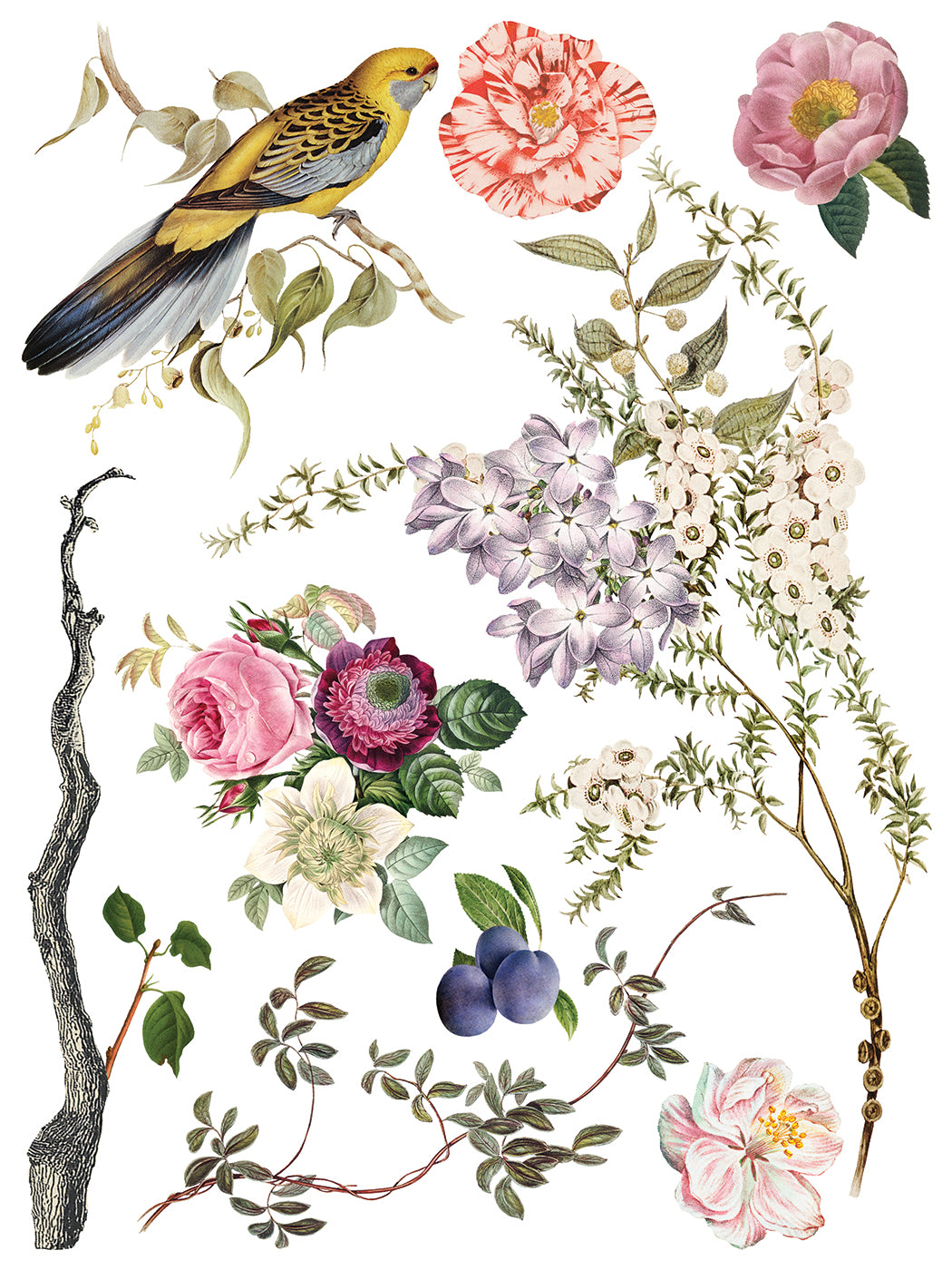 Iron Orchid Designs - Menagerie - Furniture Decor Transfer Pad
