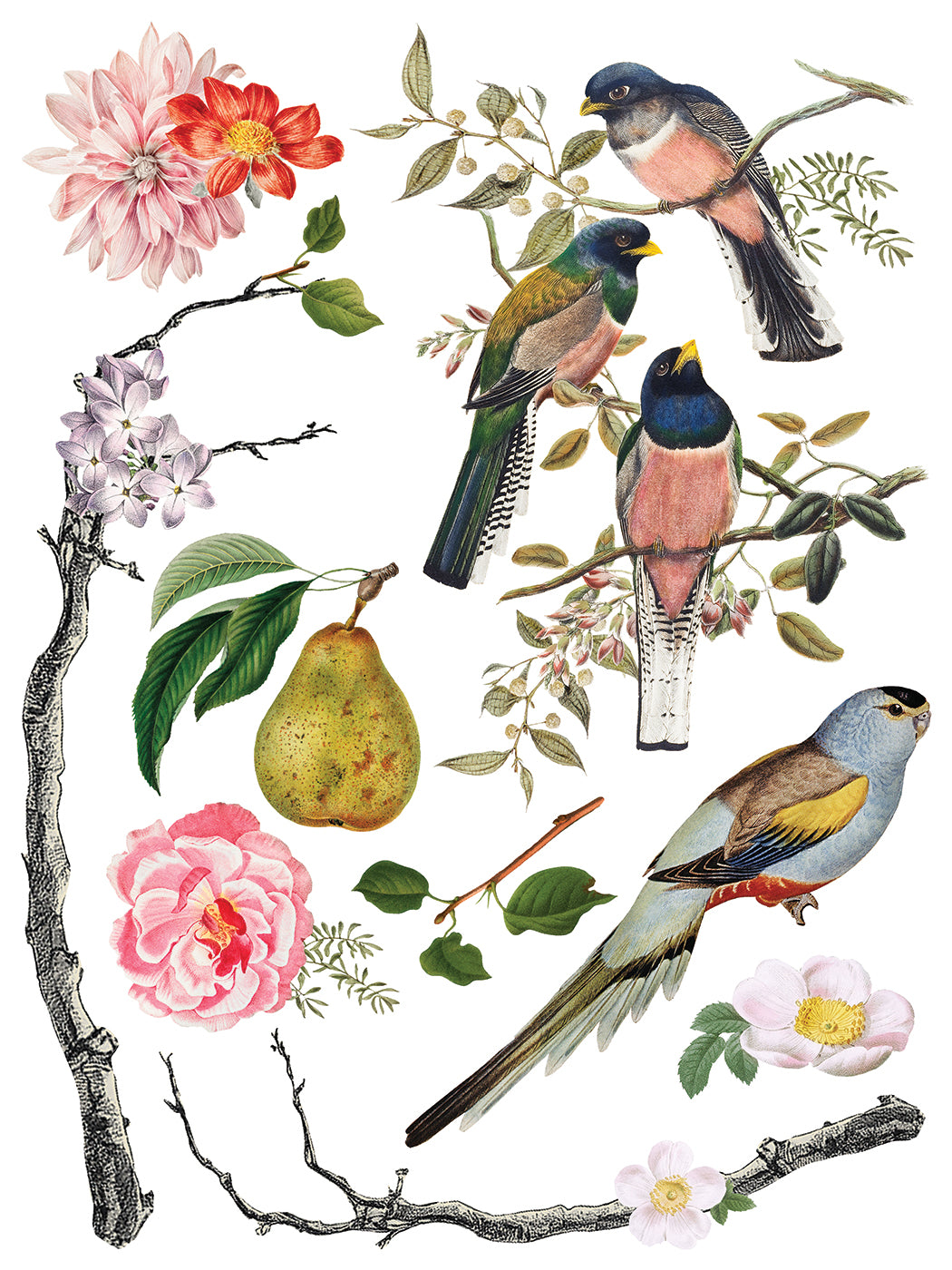 Iron Orchid Designs - Menagerie - Furniture Decor Transfer Pad