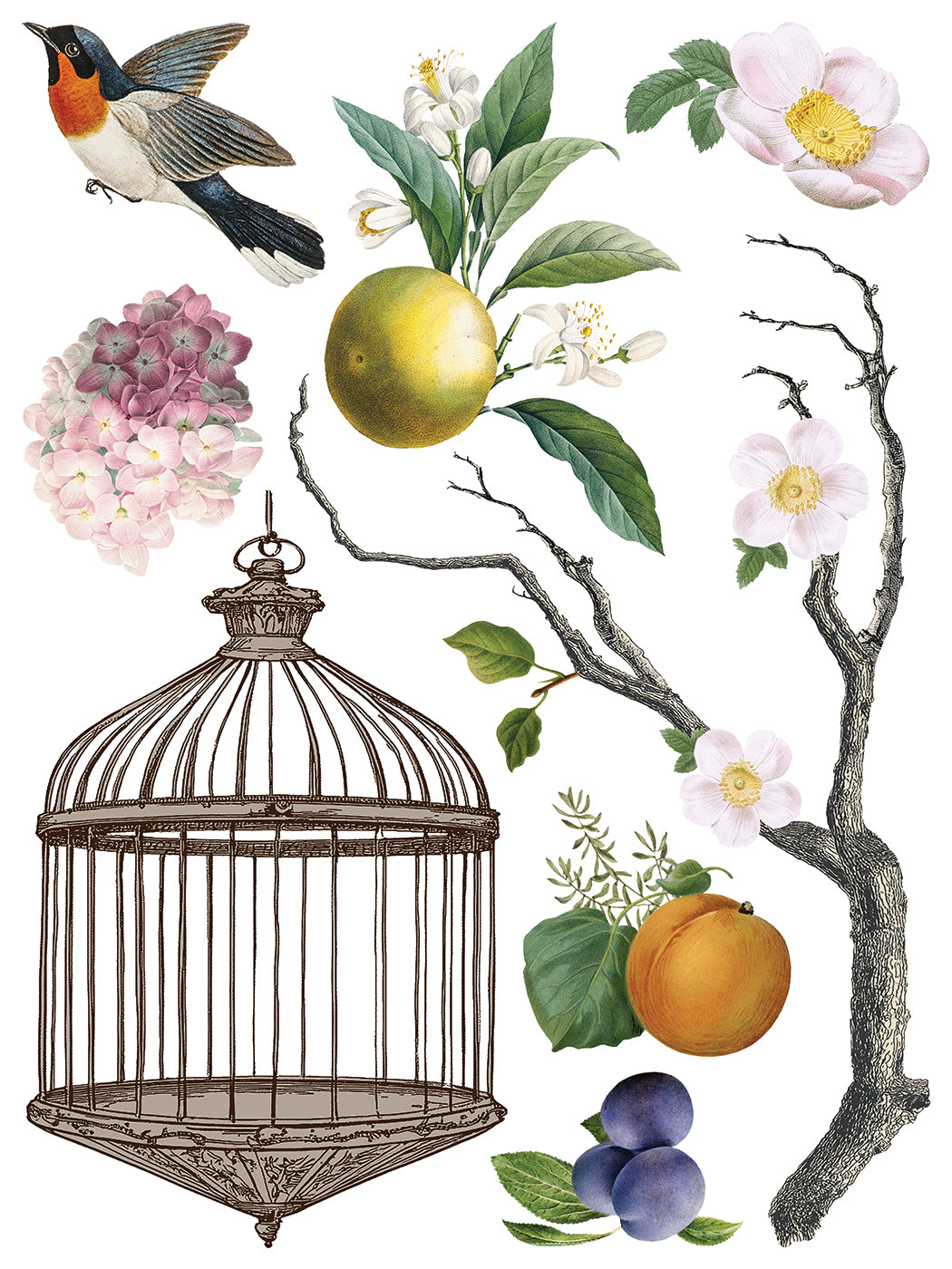 Iron Orchid Designs - Menagerie - Furniture Decor Transfer Pad