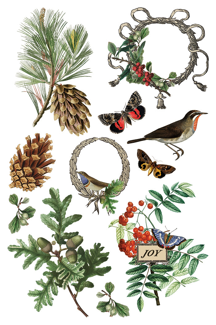 Iron Orchid Designs - Winter Botanist - Furniture Decor Transfer Pad ***Limited Edition***