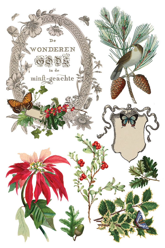 Iron Orchid Designs - Winter Botanist - Furniture Decor Transfer Pad ***Limited Edition***