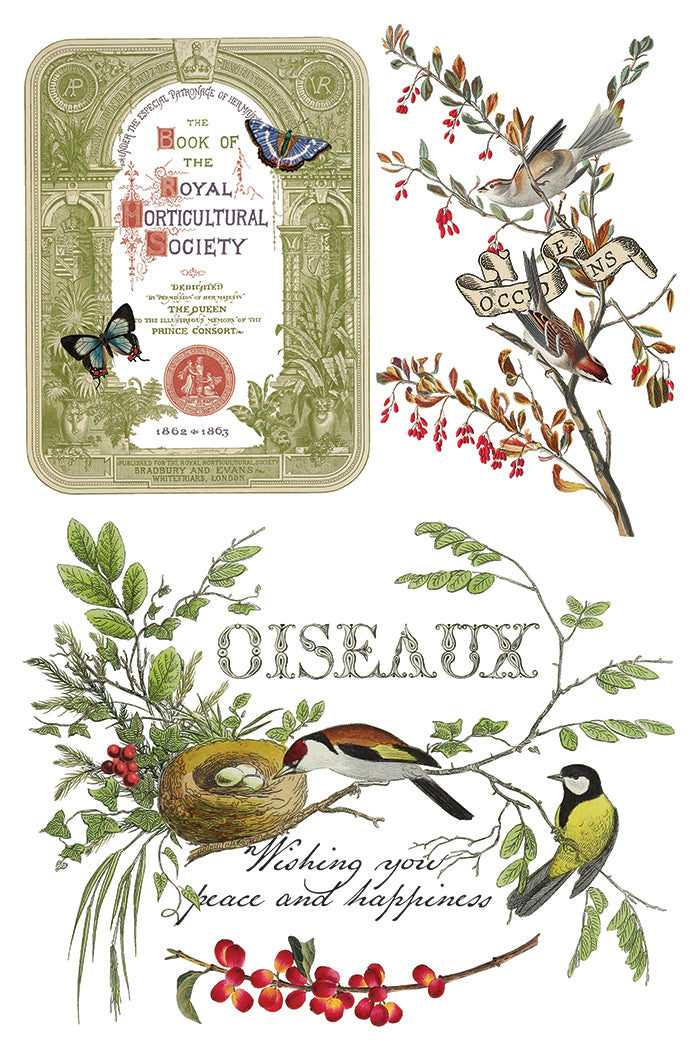 Iron Orchid Designs - Winter Botanist - Furniture Decor Transfer Pad ***Limited Edition***