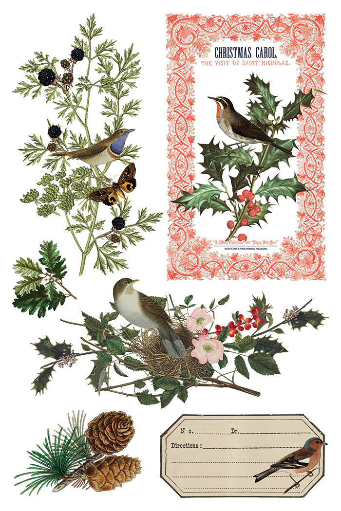 Iron Orchid Designs - Winter Botanist - Furniture Decor Transfer Pad ***Limited Edition***