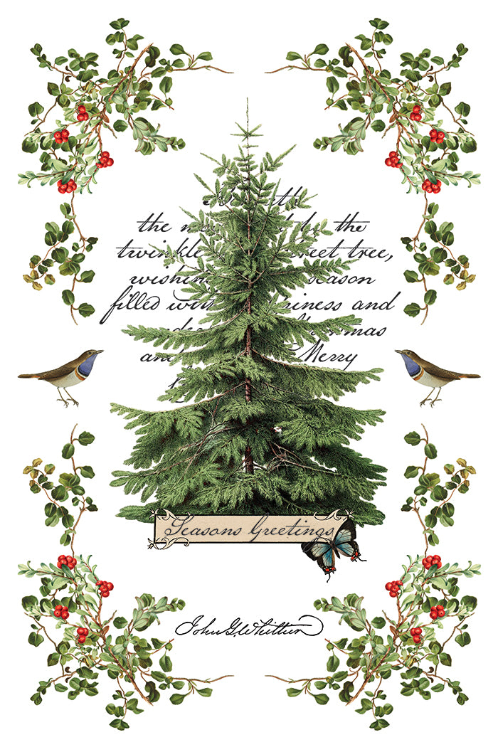 Iron Orchid Designs - Winter Botanist - Furniture Decor Transfer Pad ***Limited Edition***