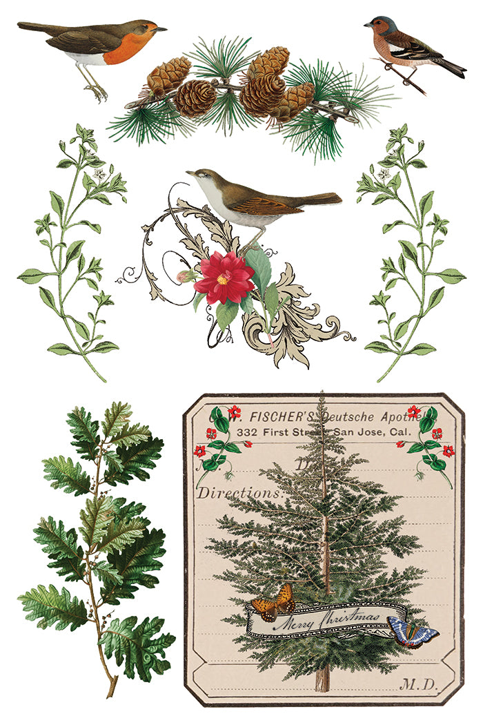 Iron Orchid Designs - Winter Botanist - Furniture Decor Transfer Pad ***Limited Edition***