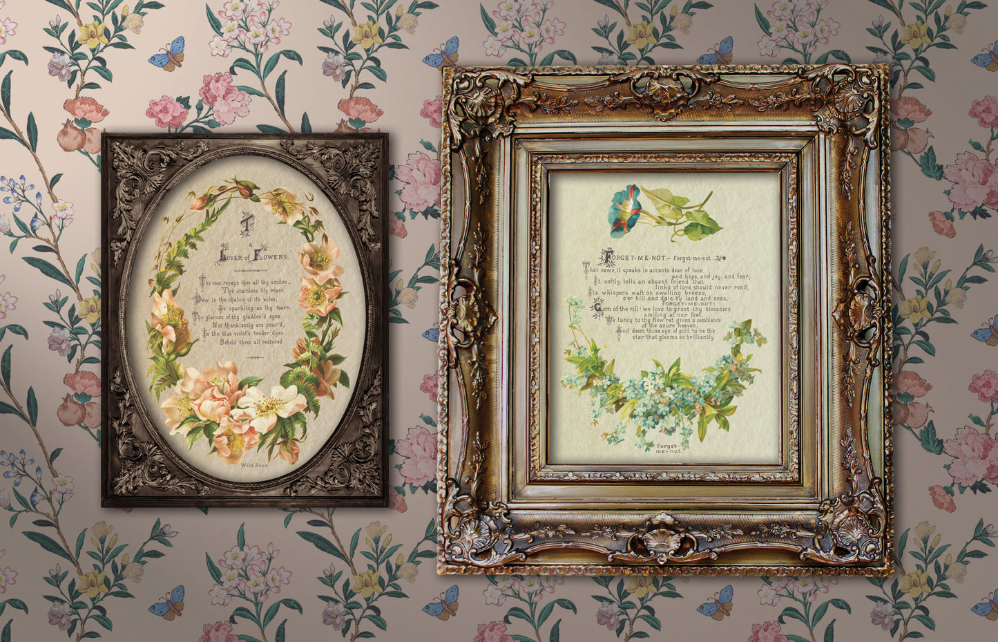 Iron Orchid Designs - Lover of Flowers - Furniture Decor Transfer Pad
