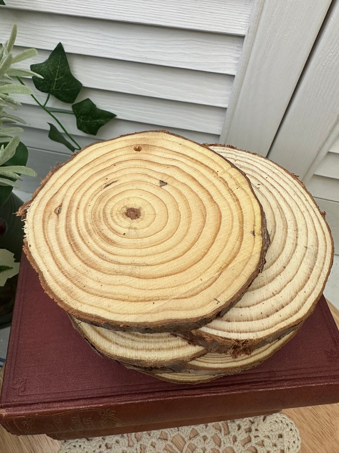 Rustic Log Slices
