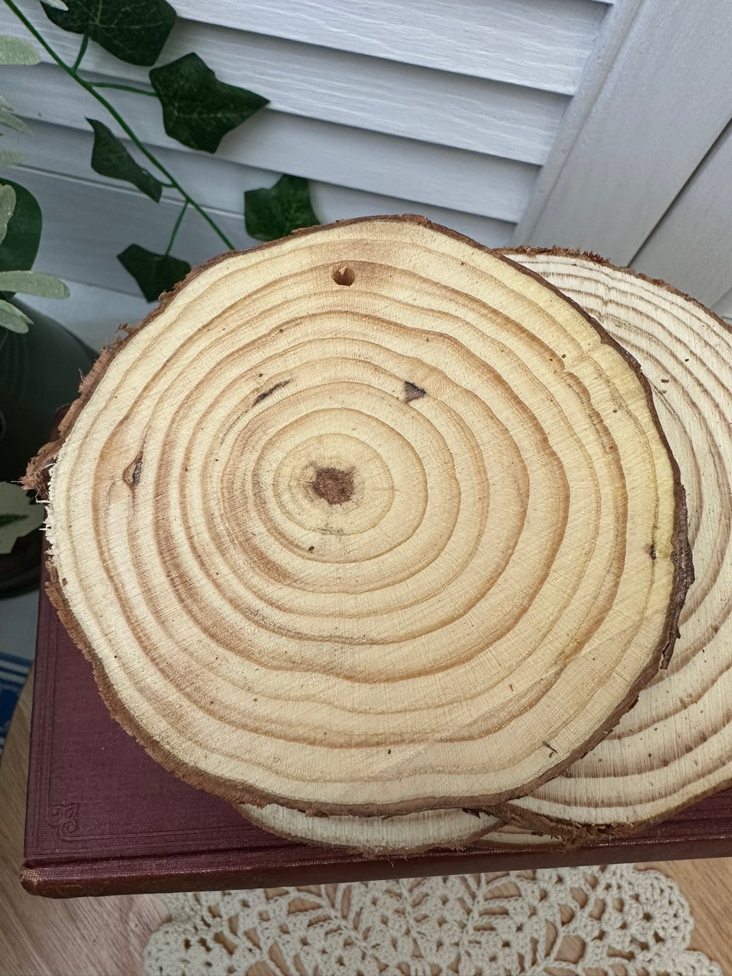 Rustic Log Slices