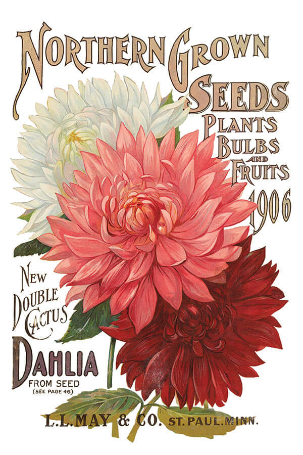 Brightly coloured seed packets on Iron Orchid Designs Seed Catalogue Transfer sheet five