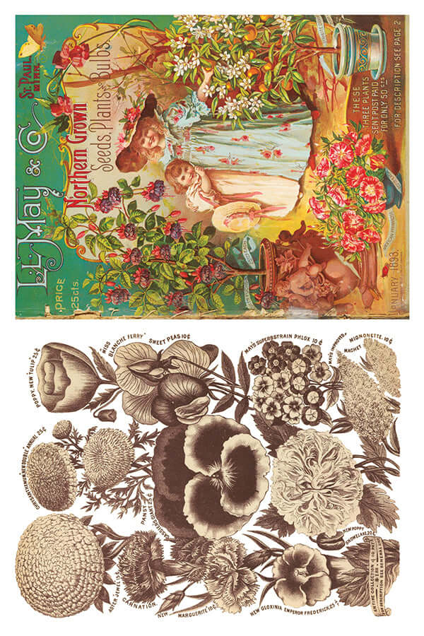Brightly coloured seed packets on Iron Orchid Designs Seed Catalogue Transfer sheet six