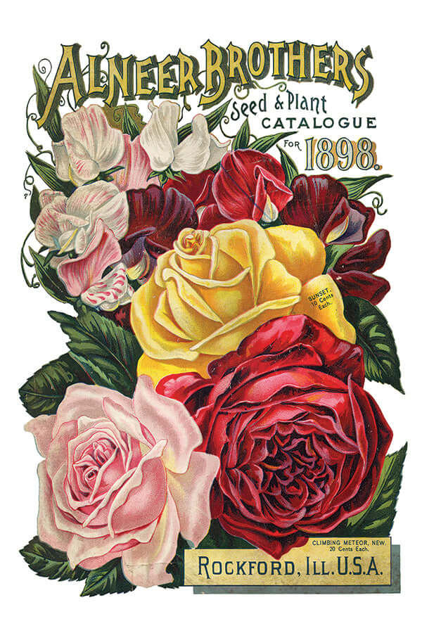 Brightly coloured seed packets on Iron Orchid Designs Seed Catalogue Transfer sheet eight