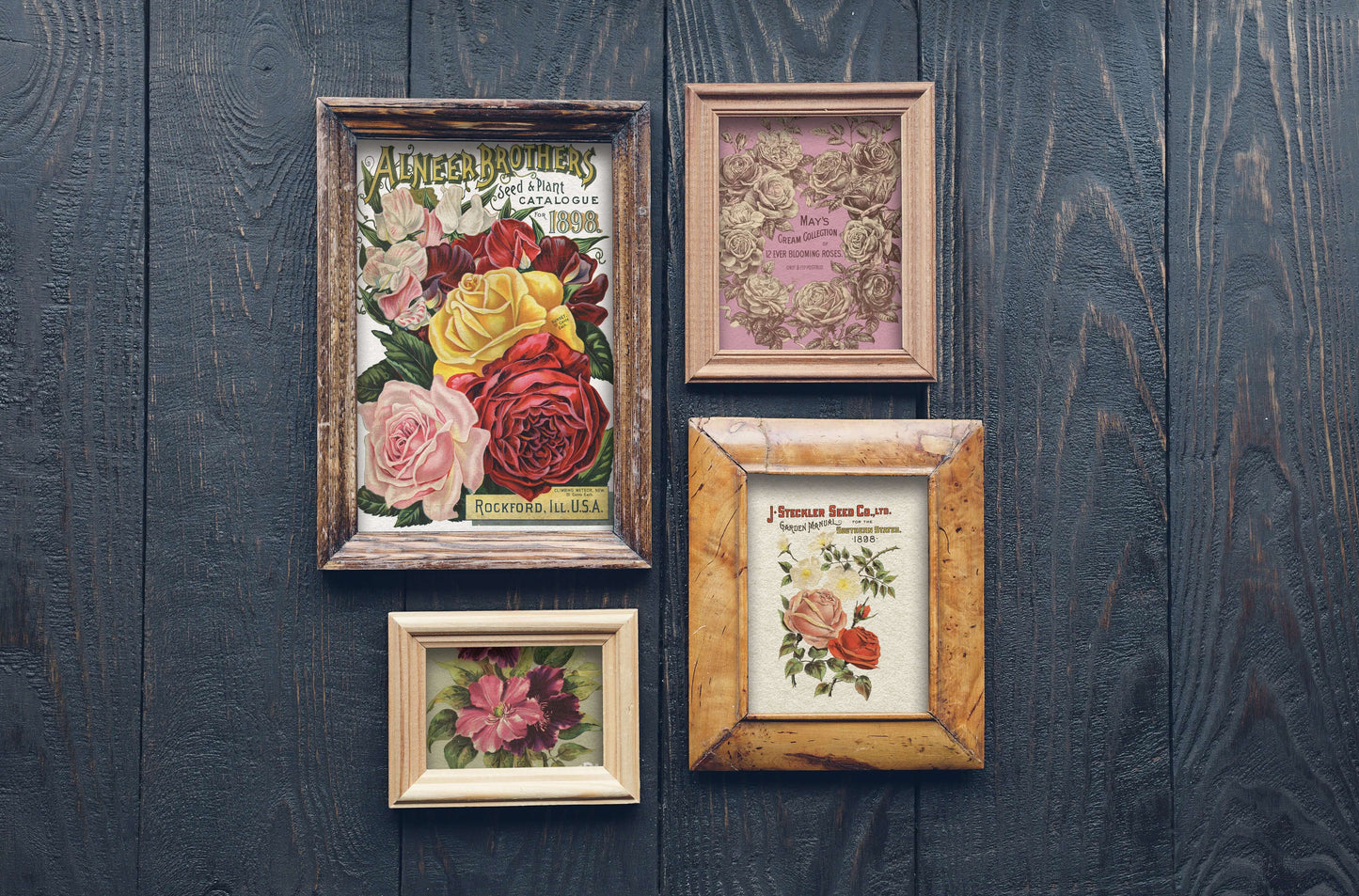 Four small pictures created from rightly coloured seed packets on Iron Orchid Designs Seed Catalogue Transfer