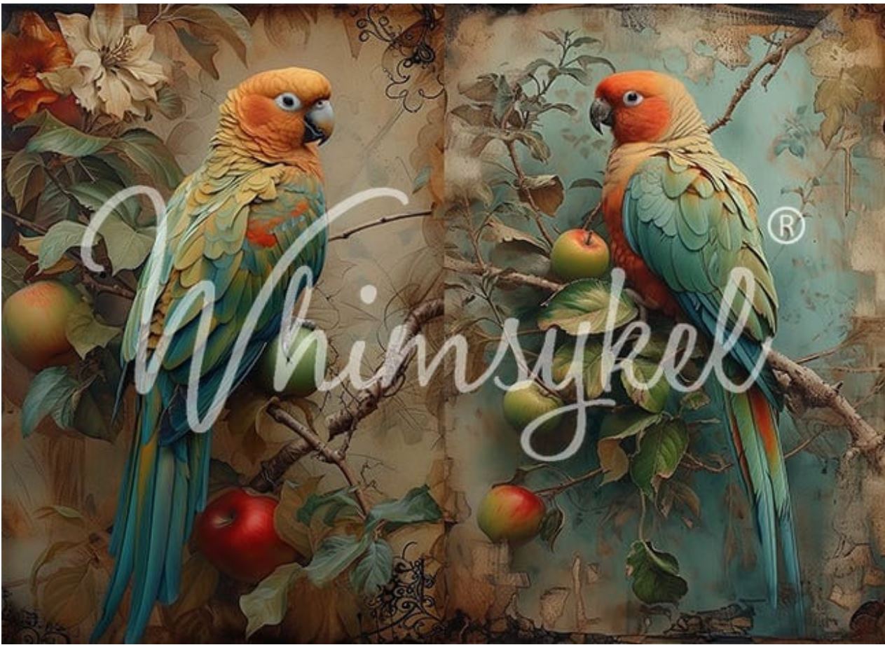 A vintage-style illustrated print featuring two colorful parrots perched on branches with apples, overlaid with a large white script watermark reading 'Whimsykel'.
