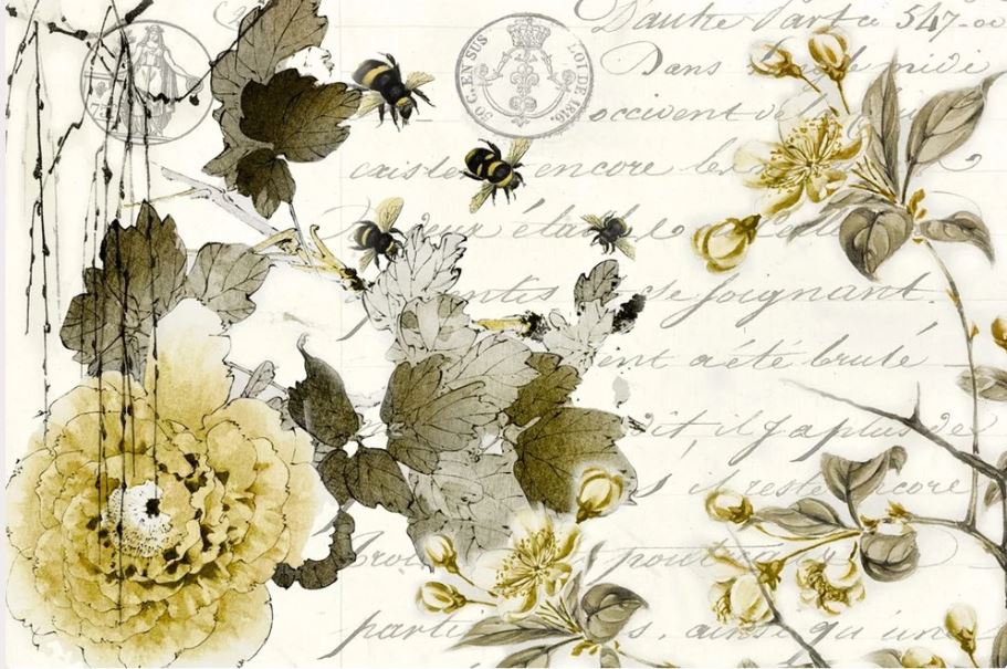 Vintage-style botanical illustration featuring large cream-colored flowers, olive-green leaves, small bees, and cursive script on an off-white background. Roycycled papers