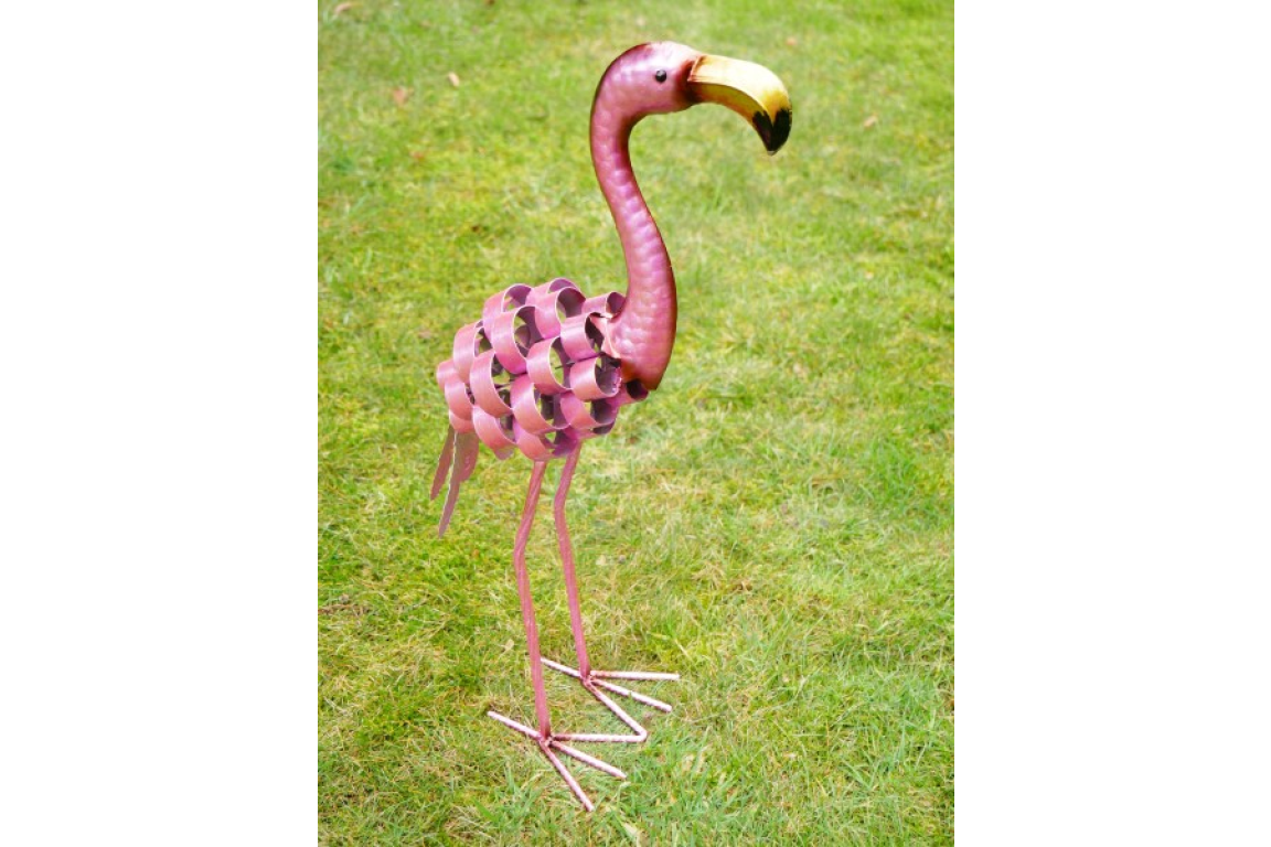 Animals - Flamingos