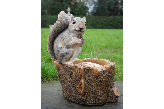 Squirrel Feeder