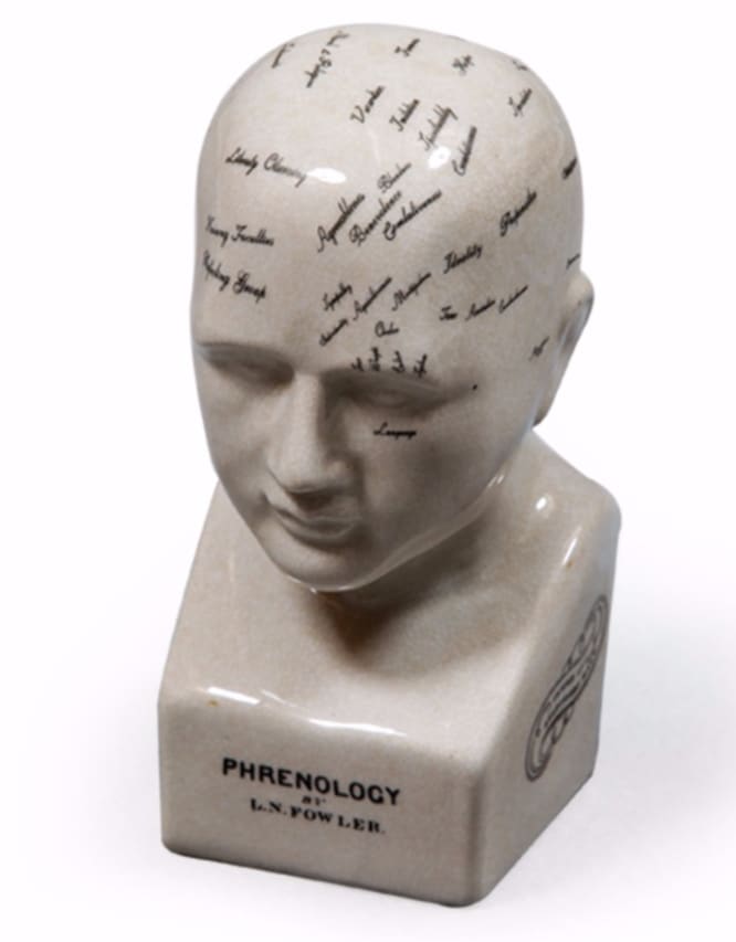 Phrenology Head - Small - Ceramic
