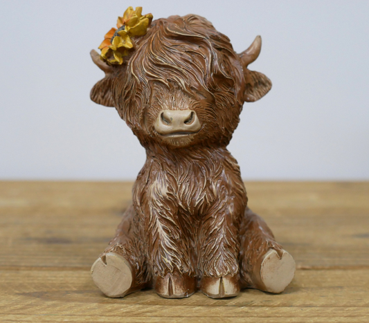 Highland Cow Sitting