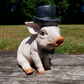 Pig With Monocle and Hat