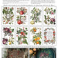 Iron Orchid Designs - Clementine - Furniture Decor Transfer Pad ***Limited Edition***