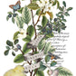 Iron Orchid Designs - Clementine - Furniture Decor Transfer Pad ***Limited Edition***