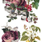 Iron Orchid Designs - Clementine - Furniture Decor Transfer Pad ***Limited Edition***