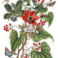 Iron Orchid Designs - Clementine - Furniture Decor Transfer Pad ***Limited Edition***