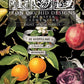 Iron Orchid Designs - Clementine - Furniture Decor Transfer Pad ***Limited Edition***