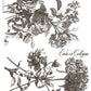 Iron Orchid Designs - Floriography - Paint Inlay