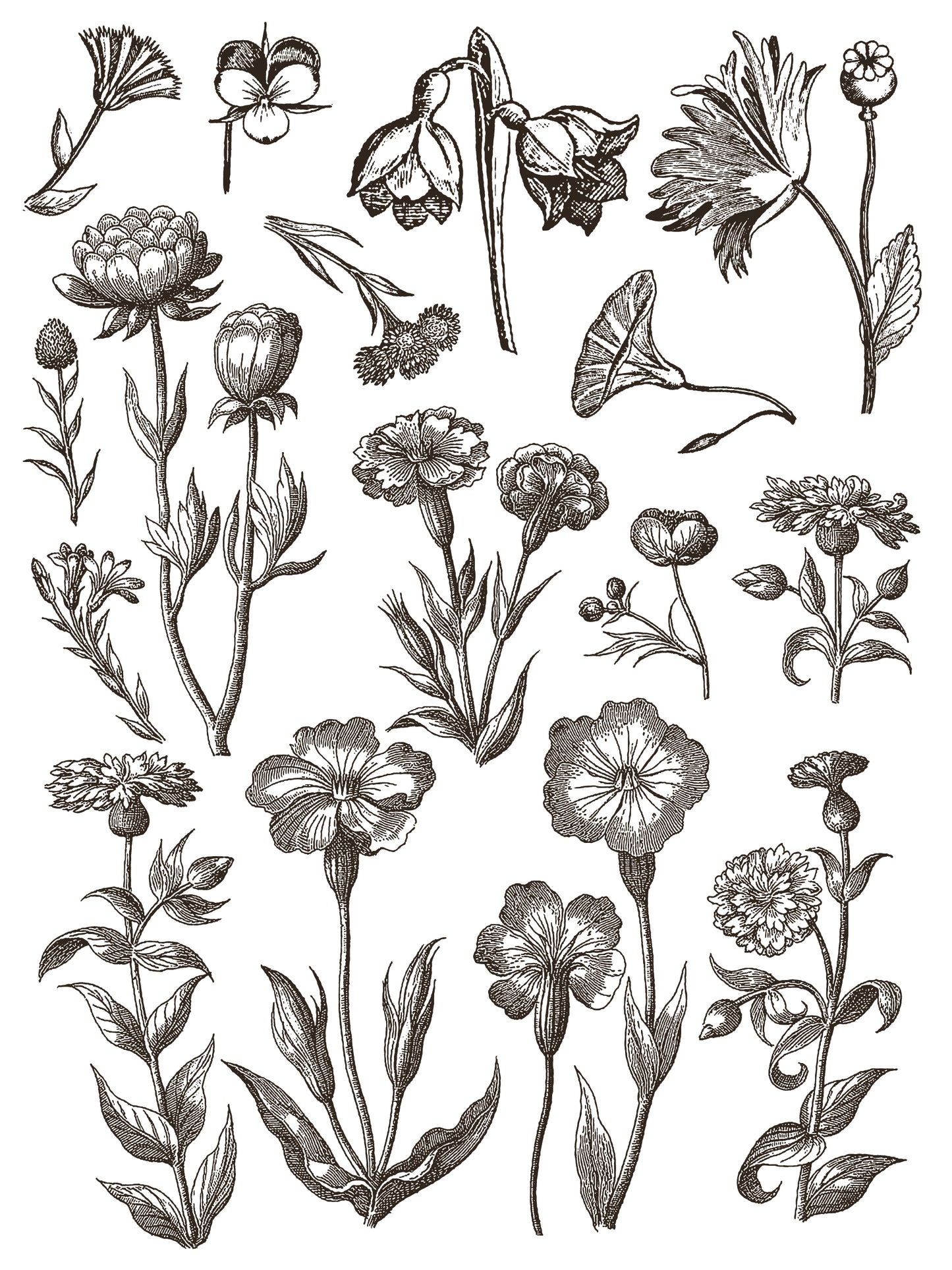 Iron Orchid Designs - Floriography - Paint Inlay