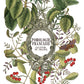 Iron Orchid Designs - Clementine - Furniture Decor Transfer Pad ***Limited Edition***