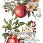 Iron Orchid Designs - Clementine - Furniture Decor Transfer Pad ***Limited Edition***