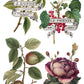 Iron Orchid Designs - Clementine - Furniture Decor Transfer Pad ***Limited Edition***