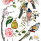 Iron Orchid Designs - Menagerie - Furniture Decor Transfer Pad