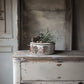Iron Orchid Designs - Partridge Lane - Furniture Decor Transfer Pad ***Limited Edition***
