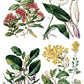 Iron Orchid Designs - Sarah Featon's Botanicals - Furniture Decor Transfer Pad