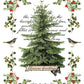 Iron Orchid Designs - Winter Botanist - Furniture Decor Transfer Pad ***Limited Edition***