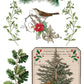 Iron Orchid Designs - Winter Botanist - Furniture Decor Transfer Pad ***Limited Edition***