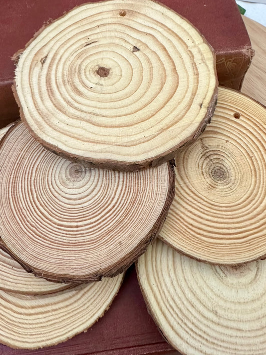 Rustic Log Slices