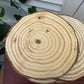 Rustic Log Slices