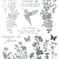 Decorative design with floral elements, a hummingbird, and text in silver on a white background by Iron Orchid Designs